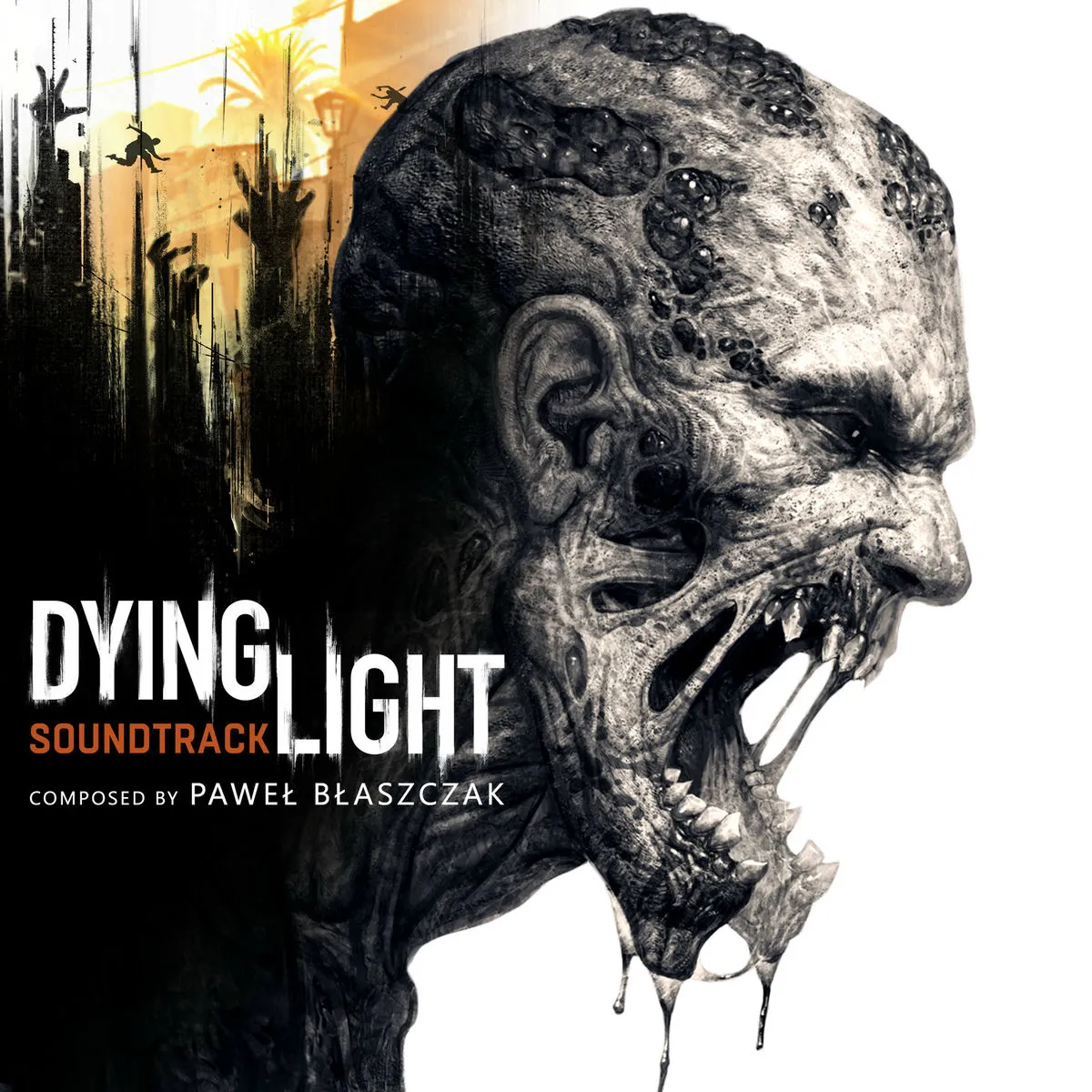 jaquette de Dying Light