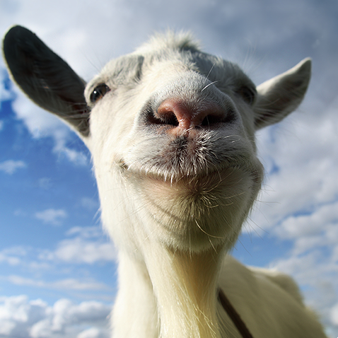 jaquette de Goat Simulator