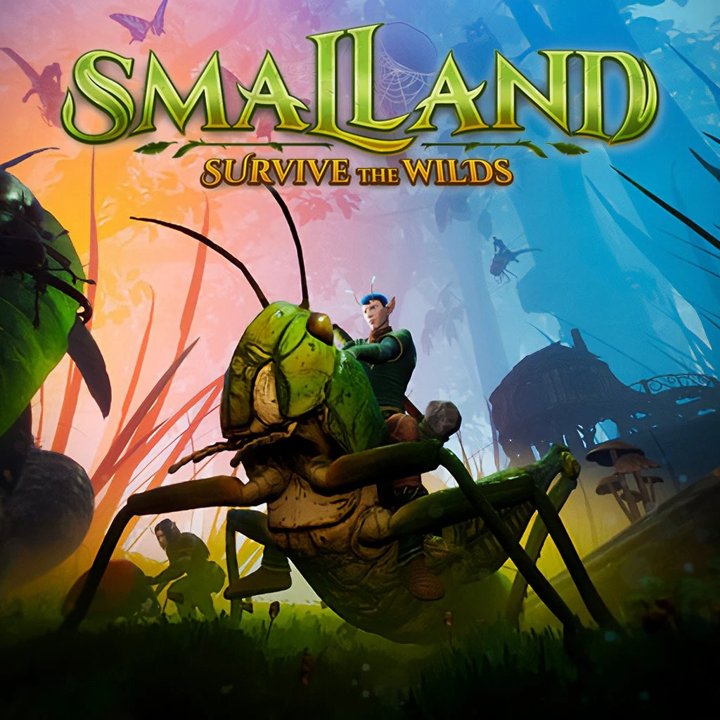 jaquette de Smalland