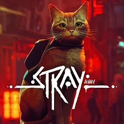 jaquette de Stray